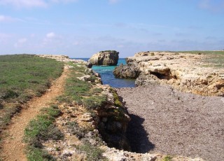 CAMÍ DE CAVALLS